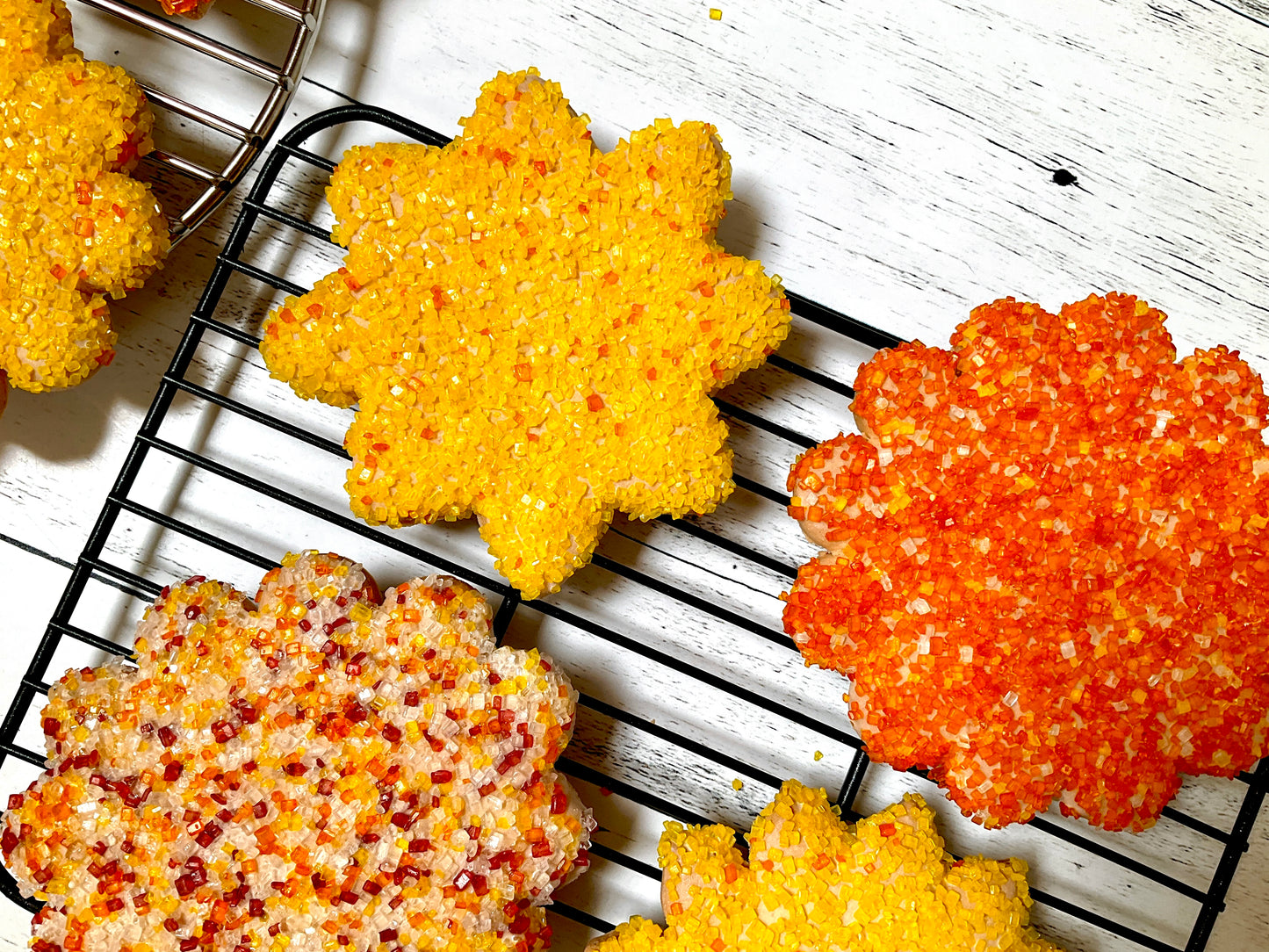 Seasonal 'Butter' Cookies - 6pk