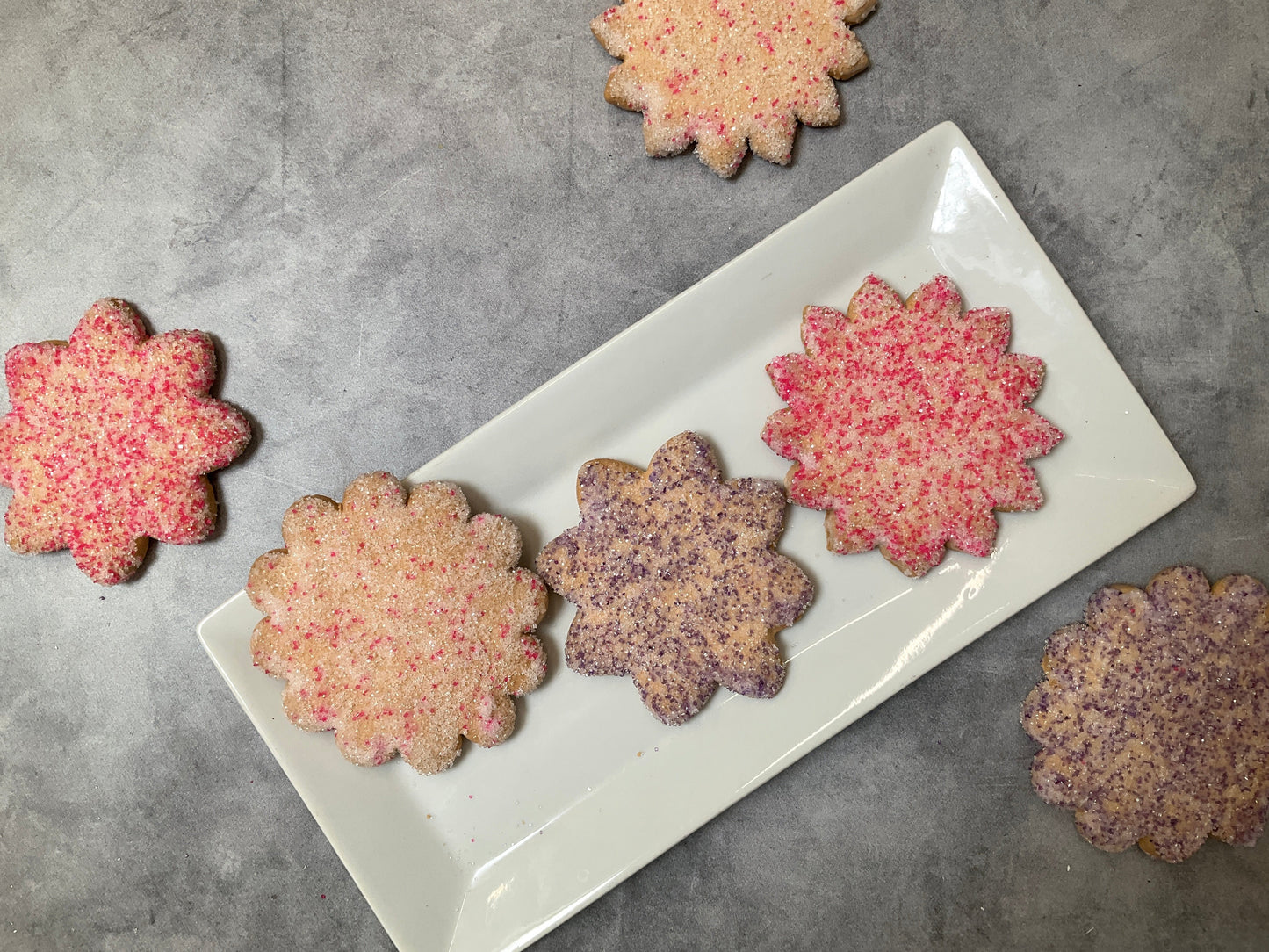 Seasonal 'Butter' Cookies - 6pk