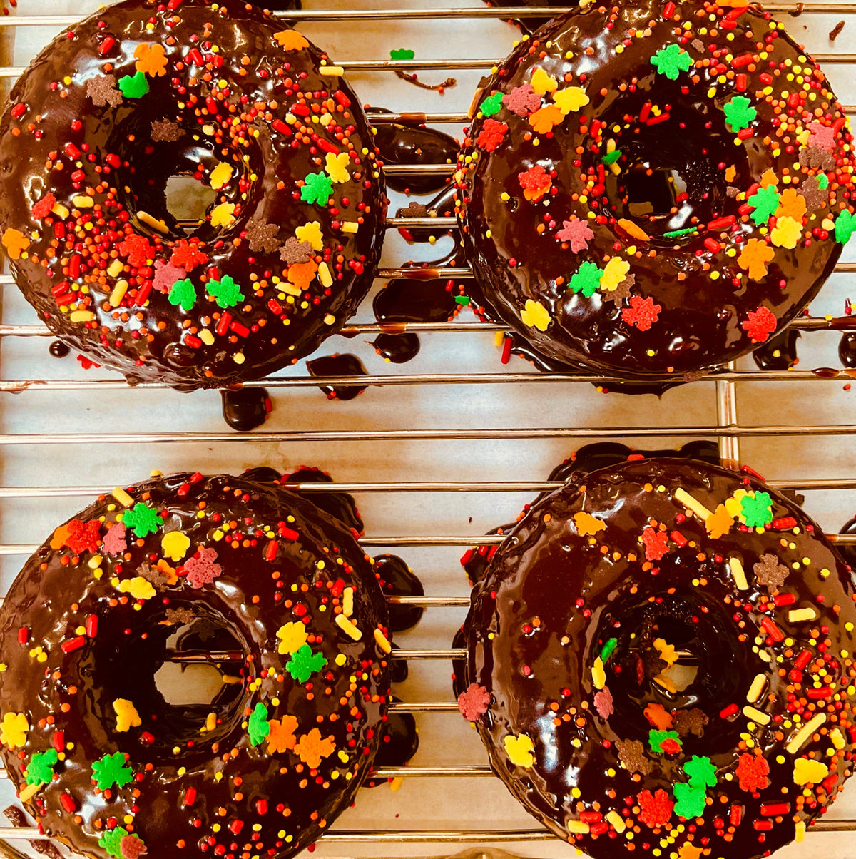 Chocolate Donuts